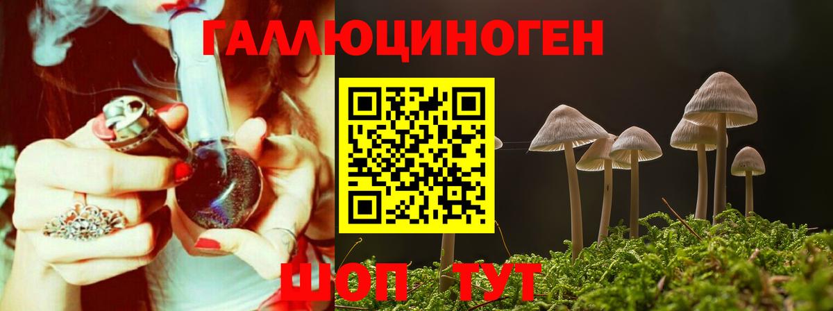 Мичуринск  Псилоцибиновые грибы мухоморы  Вход с VPN 