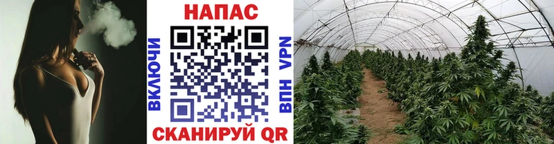 Каннабис ГИДРОПОН  Мичуринск 